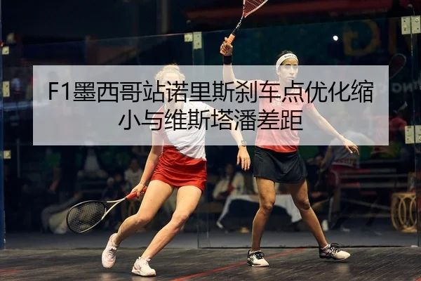 mo-xi-ge-zhan-nuo-li-si-sha-che-dian-you-hua-suo-xiao-yu-wei-si-ta-pan-cha-ju-2-169.jpg